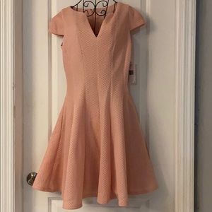 Fit and Flare Pink dress with pockets